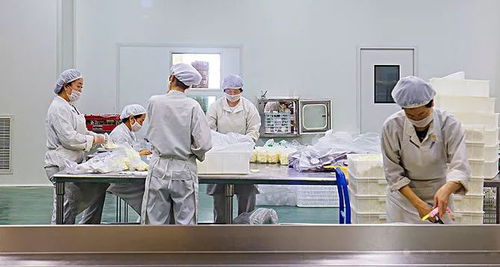 明天起，這些新規定新政策將影響上海市民的生活