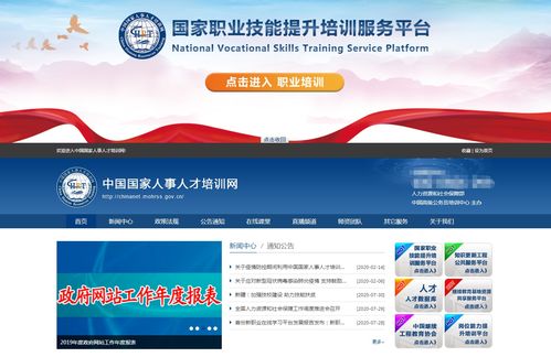 工程總承包項目管理師在軟件信息咨詢服務中的關鍵角色